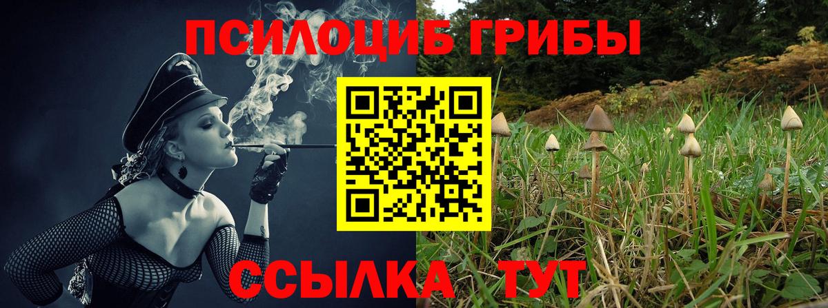 купить наркоту  Галлюциногенные грибы Cubensis  Вход с VPN  Псилоцибиновые грибы мухоморы  Сатка 