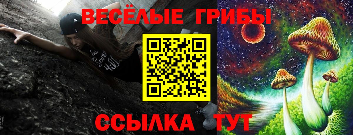 Псилоцибиновые грибы Psilocybine cubensis Сатка